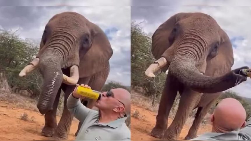 प्रधानमंत्री विकसित भारत रोजगार योजना 4 11 1 19.jpg