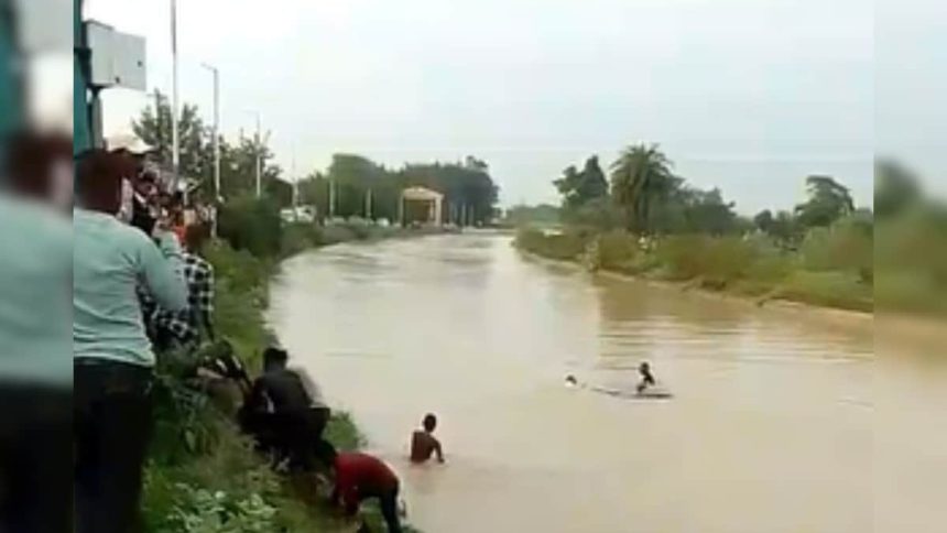 28ccar 2025 09 360aa6453e76fd3343bcf1d264609944 3x2