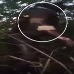 4873318 Untitled 56 Copy.jpg