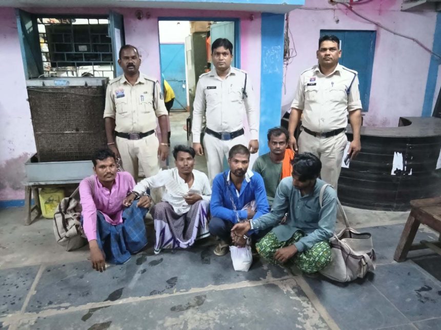 4875089 Untitled 41 Copy.jpg