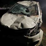 4877917 Untitled 48 Copy.jpg