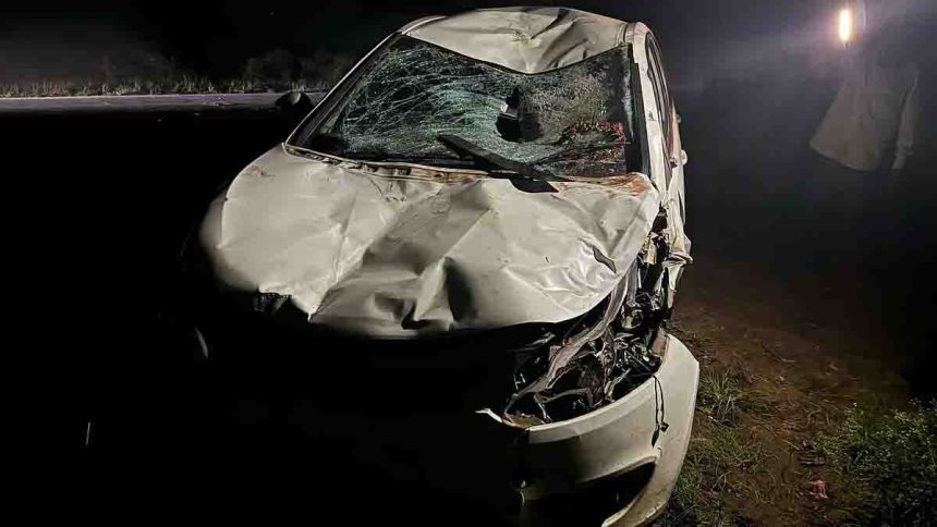 4877917 Untitled 48 Copy.jpg