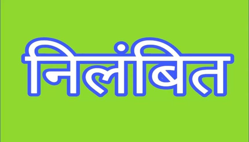 4880618 Untitled 8 Copy.jpg