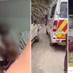 4884083 Untitled 15 Copy.jpg