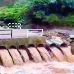 4889863 Untitled 31 Copy.jpg