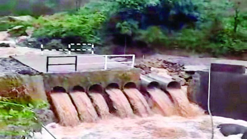 4889863 Untitled 31 Copy.jpg