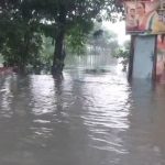 4897147 Untitled 65 Copy.jpg