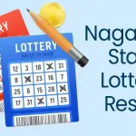Nagaland State Lottery Result 6.jpg