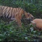 Screenshot 20250904 082030 Whatsapp