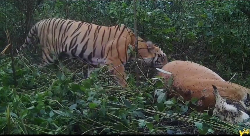 Screenshot 20250904 082030 Whatsapp