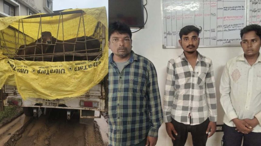 Whatsapp Image 2025 09 02 At 7.06.12 Pm.jpeg