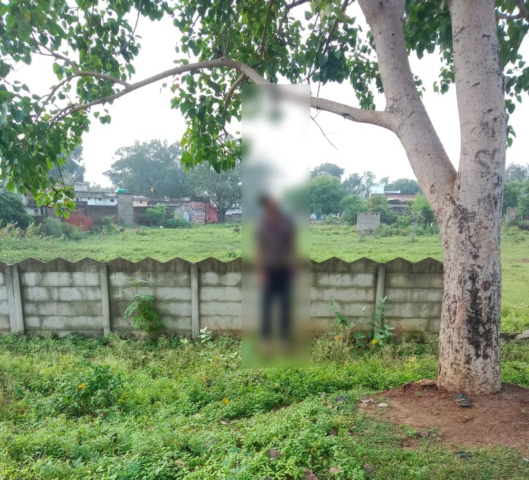 Whatsapp Image 2025 09 11 At 11.30.04 Pm 1.jpeg