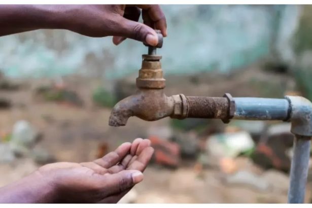 Whatsapp Image 2025 09 11 At 7.18.57 Pm.jpeg