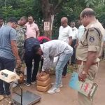 Whatsapp Image 2025 09 13 At 12.18.34 Pm.jpeg