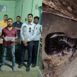 Whatsapp Image 2025 09 15 At 2.37.14 Pm.jpeg