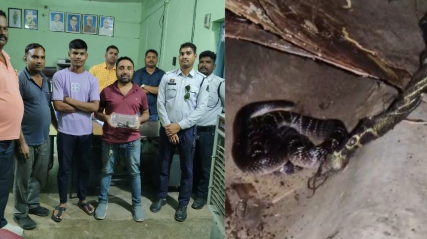 Whatsapp Image 2025 09 15 At 2.37.14 Pm.jpeg