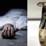 Whatsapp Image 2025 09 20 At 3.48.15 Pm.jpeg