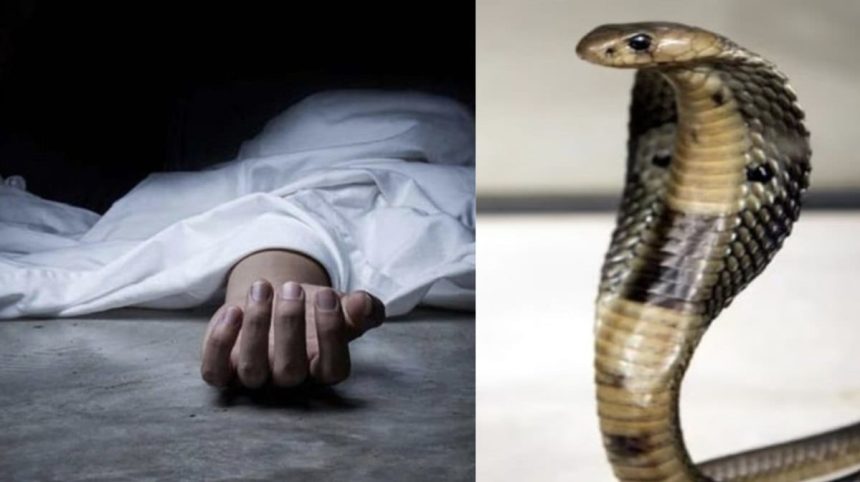 Whatsapp Image 2025 09 20 At 3.48.15 Pm.jpeg