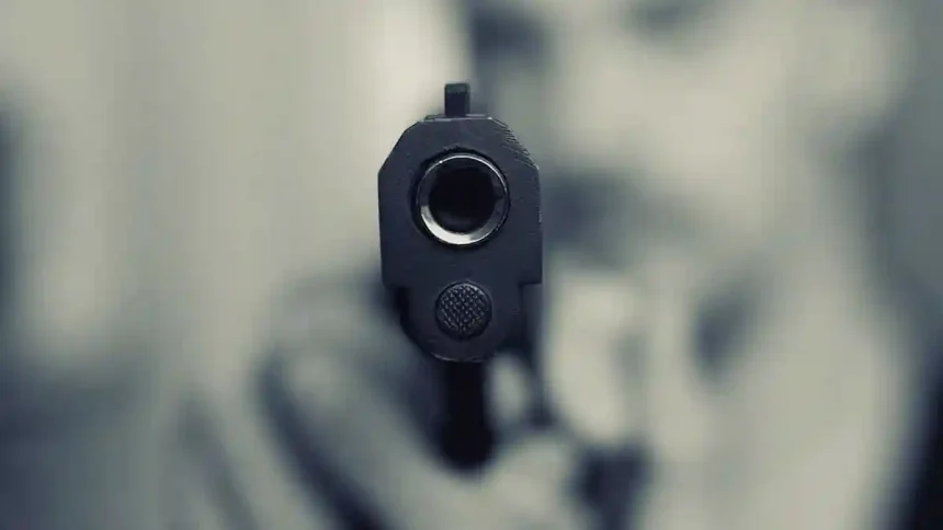 Gun 3.jpg