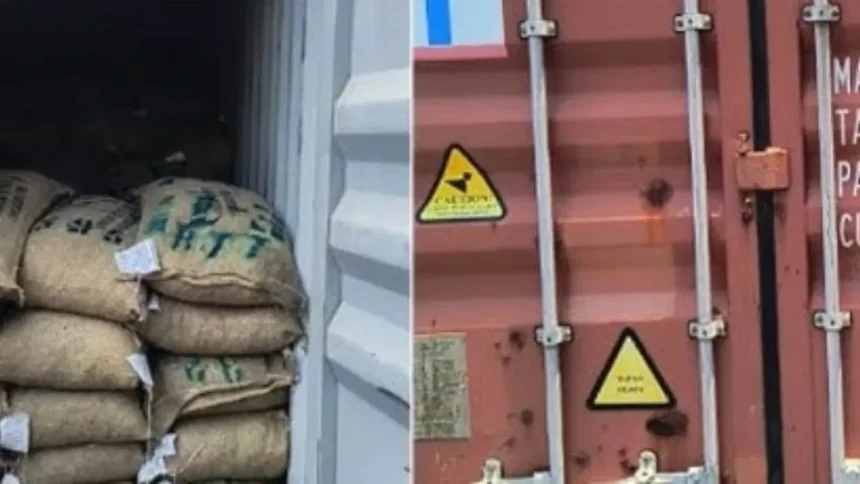 News Image 175785890814 09 2025 19 38 28.webp.webp