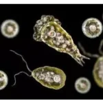 News Image 175810257517 09 2025 15 19 35.webp.webp