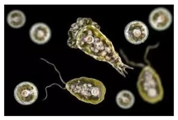 News Image 175810257517 09 2025 15 19 35.webp.webp