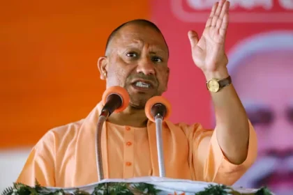 1760724007 Yogi 1.jpg