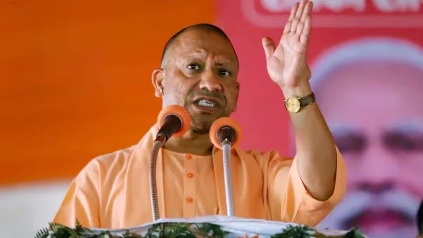 1760724007 Yogi 1.jpg
