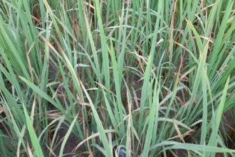 4921185 Untitled 2 Copy.jpg