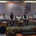 4926198 Untitled 44 Copy.jpg