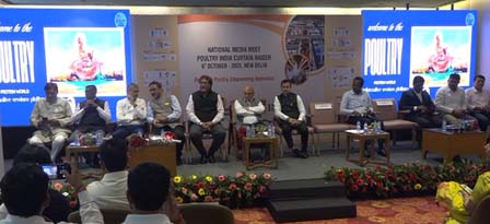 4926198 Untitled 44 Copy.jpg