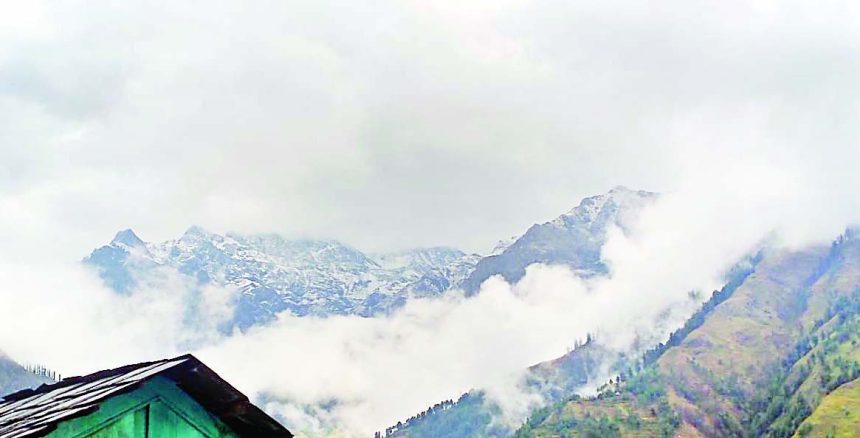 4927588 Untitled 22 Copy.jpg