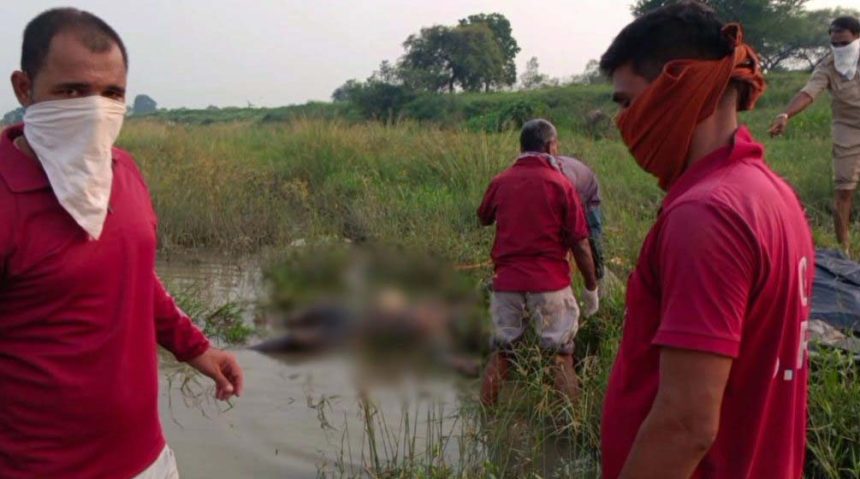 4930742 Untitled 51 Copy.jpg