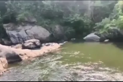 4951093 Students Meet Watery Grave In Odisha.jpg