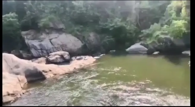 4951093 Students Meet Watery Grave In Odisha.jpg