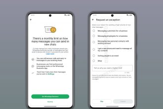 4960677 Untitled 54 Copy.jpg