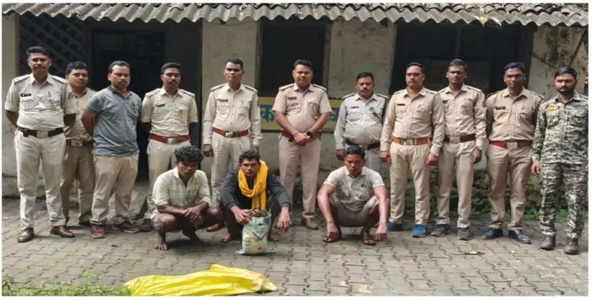 4963025 Untitled 17 Copy