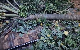 4967650 Untitled 61 Copy.jpg