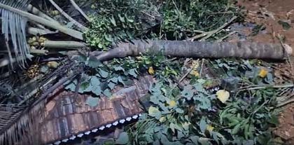 4967650 Untitled 61 Copy.jpg