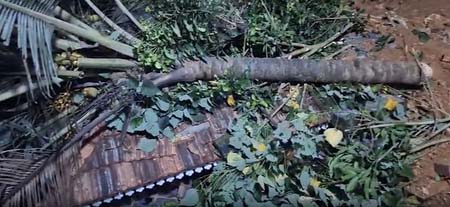 4967650 Untitled 61 Copy.jpg