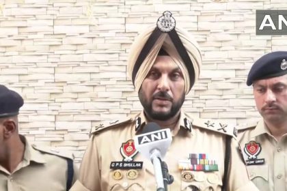 4971532 Untitled 43 Copy.jpg