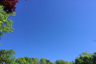 4973014 Untitled 10 Copy.jpg