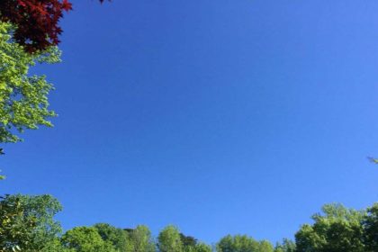 4973014 Untitled 10 Copy.jpg