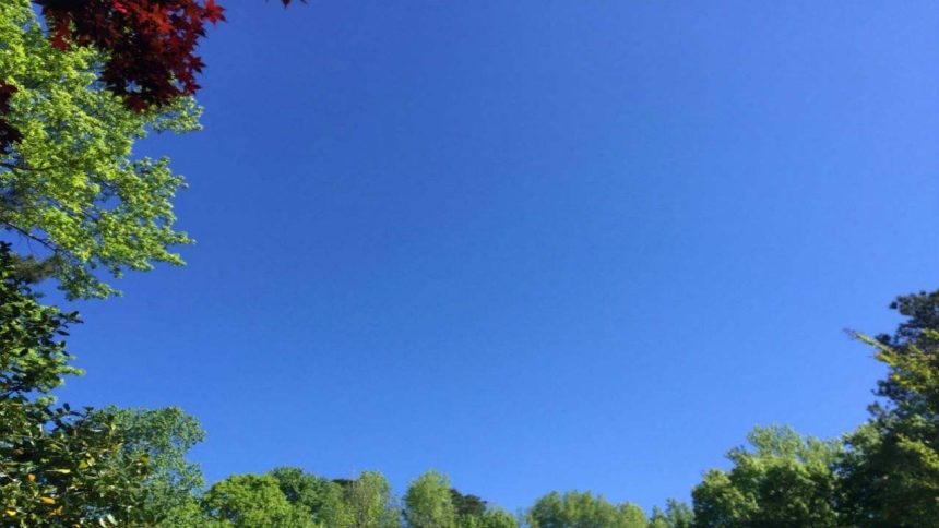 4973014 Untitled 10 Copy.jpg