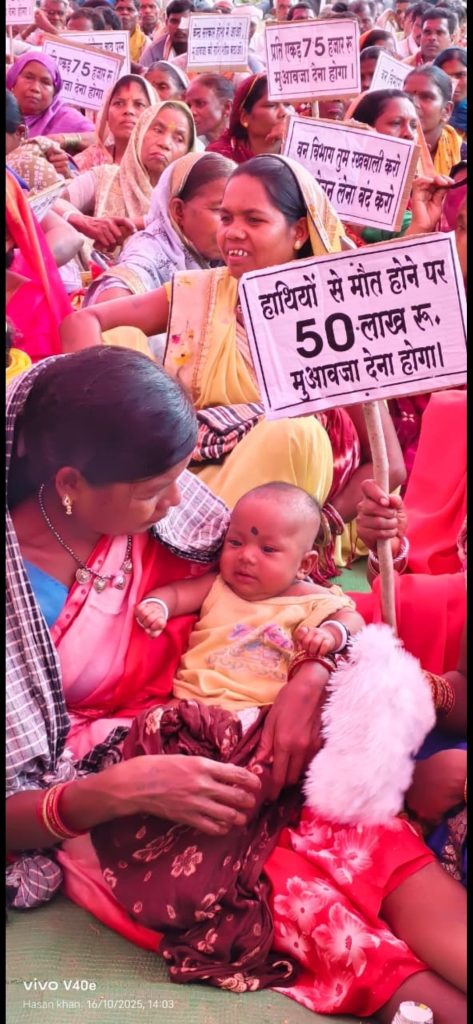 Screenshot 20251016 191044 Whatsapp