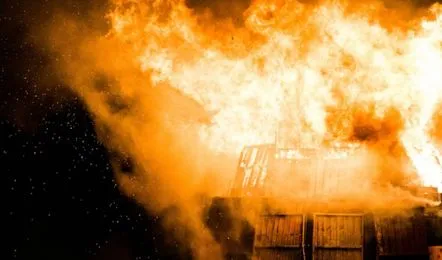 Three Workers Died Due To Explosion In Chemical Factory In Raigarh V Jpg 442x260 4g