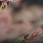 Whatsapp Image 2025 10 03 At 6.30.57 Pm.jpeg