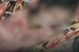 Whatsapp Image 2025 10 03 At 6.30.57 Pm.jpeg