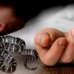 Whatsapp Image 2025 10 08 At 6.14.29 Pm.jpeg