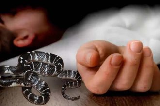 Whatsapp Image 2025 10 08 At 6.14.29 Pm.jpeg